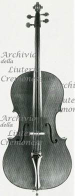 1978Violoncello a.jpg