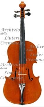 1986Viola a.jpg