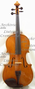 1986Viola a.jpg