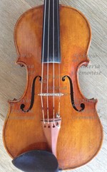 1991viola a.jpg