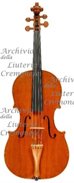 1991Viola a.jpg