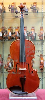 2001Viola a.jpg