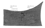 MS 227.jpg