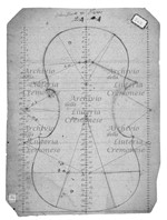 MS 716.jpg