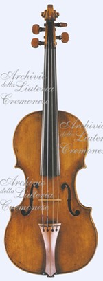 ViolinoExRoss a.jpg