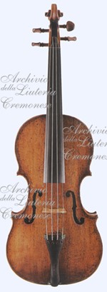 ViolinoNMM3366 a.jpg