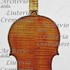 1574cViolino c.jpg