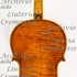 1597ViolaMilano c.jpg