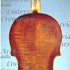 1608cViolino c.jpg