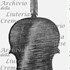 1616Viola c.jpg