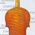 1617Viola2 c.jpg