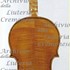 1620cViolino2 c.jpg