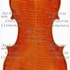 1620cViolino c.jpg