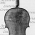 1622Violino c.jpg