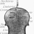 1624-84Viola2 c.jpg