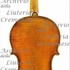 1624Violino c.jpg