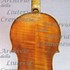 1625cViolino2 c.jpg