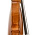 1625cViolino b.jpg