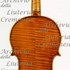 1628ViolinoMosca c.jpg