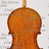 1628Violoncello composito c.jpg