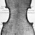 1638-98Violino16 c.jpg