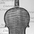 1640cViolino c.jpg