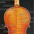 1643cViolino c.jpg