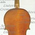 1648cViolino c.jpg