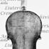 1649-1715ViolinoPiccolo2 c.jpg