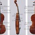 1650cViolino f2.jpg