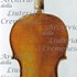 1650cViolino c.jpg