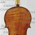 1650cViolino c.jpg