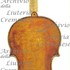 1650Violino2 c.jpg