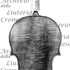 1654Violino c.jpg