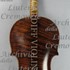 1659 Violino c.jpg