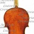 1660cViolino2 c.jpg