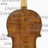 1660cViolino3 c.jpg