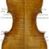 1660Violino c.jpg