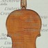 1660ViolinoPiccolo c.jpg