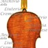 1661ViolinoNightingale c.jpg