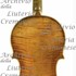 1662Violino7 c.jpg