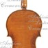 1662Violino c.jpg