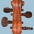 1664Violatenore i.jpg