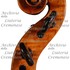 1665Violino2 d.jpg