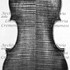 1668Violino c.jpg