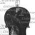 1670-72ViolinoLioness c.jpg