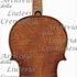 1670cViolino c.jpg