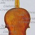 1670cViolino c.jpg