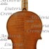 1670Violino c.jpg