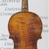 1670ViolinoMosca2 c.jpg